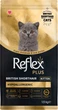 Сухой корм Reflex Plus British Shorthair Kitten для британских короткошерстных котят от 2 до 12 месяцев 1.5 кг (8698995034869) - изображение 1