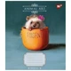 Тетрадь Yes Animal art 60 листов клетка (767138) - изображение 6