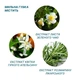 Одноразовий душ Estem Comfort Set 5шт (53-202-IS) - зображення 4