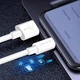 Дата кабель USB 2.0 AM to USB-C 1.0m 5A white ColorWay (CW-CBUC019-WH) - изображение 2