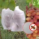Мешочек от ос на виноград 3 кг. 25*38см (мешочек для защиты винограда от ос, мошек, птиц, ожогов) - изображение 3