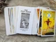 Карты таро the pulp tarot обучающая колода для начинающих с инструкцией на английском языке (101133) - изображение 8