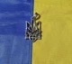 Кулон Великий кулон герб України Maxi Silver 9136 - зображення 3