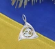 Кулон знак зодіаку Риби Maxi Silver 4194 - зображення 1