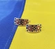 Сережки вишиванки Maxi Silver 7122 - зображення 1