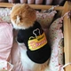 Свитшот для собак Pet Style "Когда обед?" Черный S - изображение 8