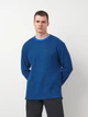 Лонгслив мужской Levi's A9249-0010 M Синий (5401157378243) - изображение 1