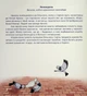 Іларія у Литві. Свята та традиції / Ilarija Lietuvoje. Tradicijos ir šventės/Голуб Ірина/9786178167028 - зображення 2