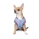 Бомбер для собак Pet Fashion «Spike» XS - изображение 8