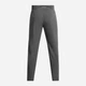 Спортивные штаны мужские Under Armour Ua Outrun The Storm Pants 1376799-025 S Серые (196885753619) - изображение 6