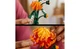 Конструктор Lego Icons Botanicals Хризантема, 278 деталей 10368 - изображение 5