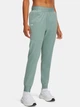 Спортивные штаны женские Under Armour Rival Hi Rise Woven Pant 1382727-348 XS Мятные (197779704748) - изображение 1