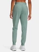 Спортивные штаны женские Under Armour Rival Hi Rise Woven Pant 1382727-348 XS Мятные (197779704748) - изображение 2
