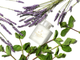 Олія для ванни Aromatherapy Associates Support Lavender & Peppermint 55 мл (642498000614) - зображення 2