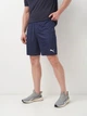Спортивные шорты для футбола мужские Puma Teamrise Training Shorts 65733606 L Peacoat-White (4063697201149) - изображение 1