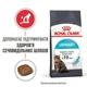 Сухой корм для кошек Royal Canin Urinary Care - для взрослых кошек, профилактика мочекаменной болезни, 10 кг (1800100) - изображение 3