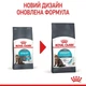 Сухой корм для кошек Royal Canin Urinary Care - для взрослых кошек, профилактика мочекаменной болезни, 10 кг (1800100) - изображение 4