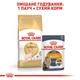 Сухий корм Royal Canin Sphynx Adult - для дорослих кішок породи Сфінкс від 12 місяців, 10 кг (2556100) - зображення 7