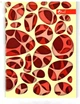Блокнот Скат А6 32 аркуша у клітинку м'яка обкладинка Fractal 3 (ЗК-5-1) - изображение 1