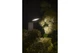Світильник GTV LONDON 10W, IP54, 220-240V, 4000K, 58см, чорний (LD-LON10W58P-10) - LD-LON10W58P-10 - зображення 5