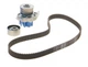 Комплект ГРМ + помпа Fiat Doblo/Fiorino 1.2-1.4 01- 22x129z VKPC 82100 - VKMC 02206-2 SKF - изображение 1