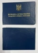 Удостоверение государственной службы по чрезвычайным ситуациям синего цвета - изображение 1