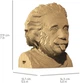 3D пазл-конструктор Cartonic 3D Puzzle Albert E Эйнштейн Картонный (CARTMALB) - изображение 4