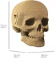 3D пазл-конструктор Cartonic 3D Puzzle Skull Картонный (CARTSKUL) - изображение 5