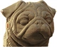 3D пазл-конструктор Cartonic 3D Puzzle Pug Мопс Картонный (CARTPUG) - изображение 2
