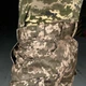 Зимові чоловічі штани Intruder Peak Softshell з 6-ма кишенями / Щільні Брюки на флісі піксель розмір L - зображення 5