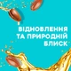 Шампунь OGX Argan oil of Morocco Відновлювальний з аргановою олією 385 мл (0022796976116) - зображення 4