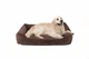 Лежак Harley and Cho Dreamer Brown Velvet L 90x60 cm Коричневий для собак (3100091) - зображення 5