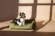 Лежак Harley and Cho Dreamer Olive XХL 120x80 cm Оливковий для собак (3010085) - зображення 4