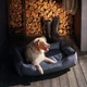 Лежак Harley and Cho Dreamer Gray Waterproof XL 110x70 cm Серый Влагостойкий для собак (3100487) - изображение 5