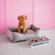 Лежак Harley and Cho Dreamer Velur Gray M 70x50 cm Серый для собак и кошек (HC-003102741) - изображение 11