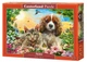 Пазл Castorland puzzle Лучшие друзья, 500 эл. (B-53728) - изображение 1