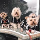 Костюм спортивный для собак Adidog черный S - изображение 3