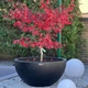 Вазон бетонный RealBeton Диона В500мм х Д1000мм черный - изображение 1