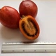 Тамарилло Томатное дерево семена (20 шт) (Solanum betaceum) цифомандра Cyphomandra помидорное дерево тамарильйо тамаморо древесный паслен - изображение 2