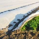Агроволокно 3,2х5м 50 г/м² Белое Agreen - изображение 6