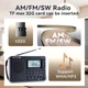 Портативний радіоприймач з акумулятором RETEKESS FM AM SW цифровий LED дисплей MP3-плеєр USB-рекордер (DF24031101) - зображення 6