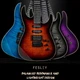 Електрогітара Fesley FDK800 BL (комплект) - зображення 8