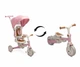 Дитячий триколісний велосипед Caretero (Toyz) Faro Pink - зображення 3