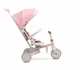 Дитячий триколісний велосипед Caretero (Toyz) Faro Pink - зображення 9