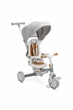 Дитячий триколісний велосипед Caretero (Toyz) Faro Grey - зображення 1