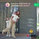 Розумна Вулична розетка NOUS A4Z - зображення 5