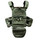 Плитоноска (Plate Carrier KARGO) OLIVE з напашным подсумком - зображення 1