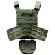 Плитоноска (Plate Carrier KARGO) OLIVE з напашным подсумком - зображення 4