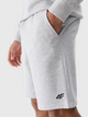 Spodenki męskie bawełniane 4F 4FWMM00TSHOM543-27M XL Jasnoszare (5905700401681) - obraz 4