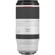 Объектив Canon RF 100-500mm f/4.5-7.1L IS USM - изображение 1